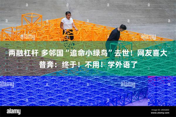两融杠杆 多邻国“追命小绿鸟”去世！网友喜大普奔：终于！不用！学外语了