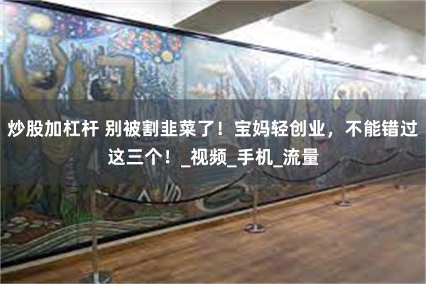 炒股加杠杆 别被割韭菜了！宝妈轻创业，不能错过这三个！_视频_手机_流量