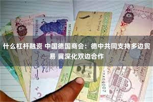 什么杠杆融资 中国德国商会：德中共同支持多边贸易 冀深化双边合作
