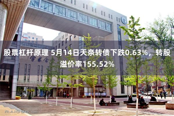 股票杠杆原理 5月14日天奈转债下跌0.63%，转股溢价率155.52%