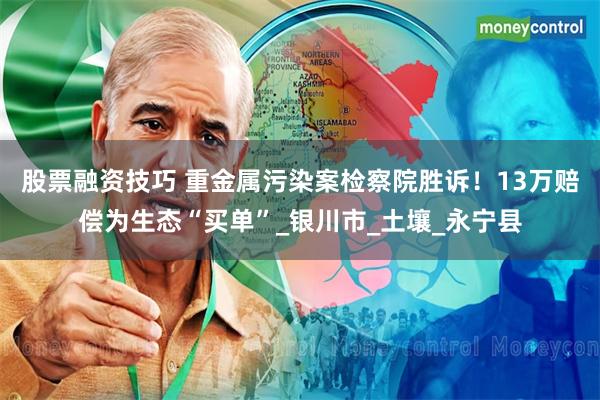 股票融资技巧 重金属污染案检察院胜诉！13万赔偿为生态“买单”_银川市_土壤_永宁县
