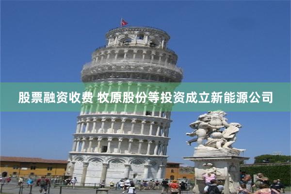股票融资收费 牧原股份等投资成立新能源公司