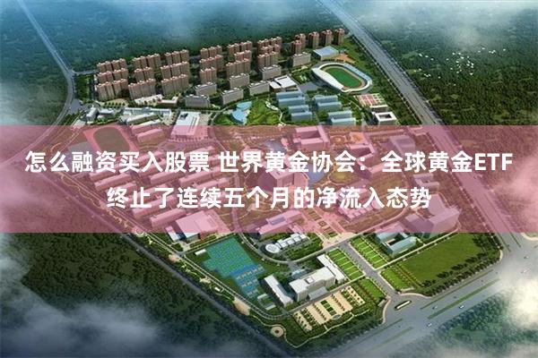 怎么融资买入股票 世界黄金协会：全球黄金ETF终止了连续五个月的净流入态势