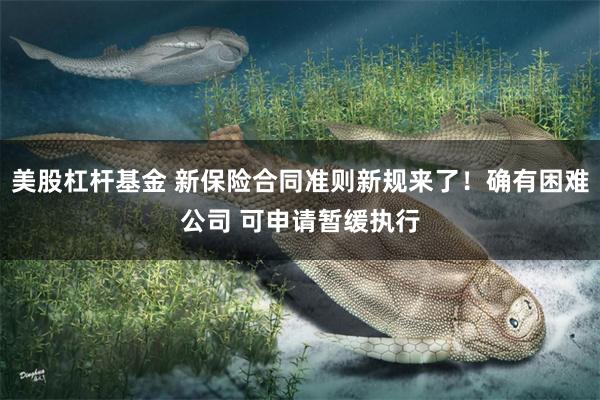 美股杠杆基金 新保险合同准则新规来了！确有困难公司 可申请暂缓执行