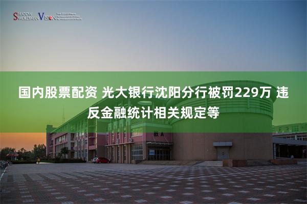 国内股票配资 光大银行沈阳分行被罚229万 违反金融统计相关规定等