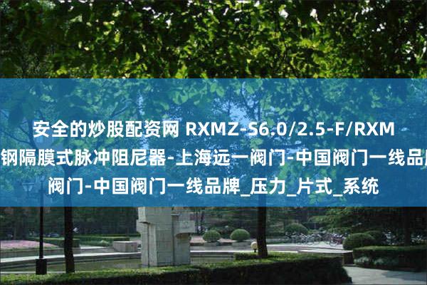 安全的炒股配资网 RXMZ-S6.0/2.5-F/RXMZ-L4.0/2.5-F不锈钢隔膜式脉冲阻尼器-上海远一阀门-中国阀门一线品牌_压力_片式_系统