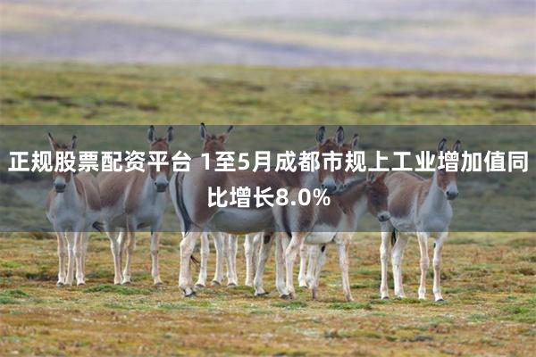 正规股票配资平台 1至5月成都市规上工业增加值同比增长8.0%